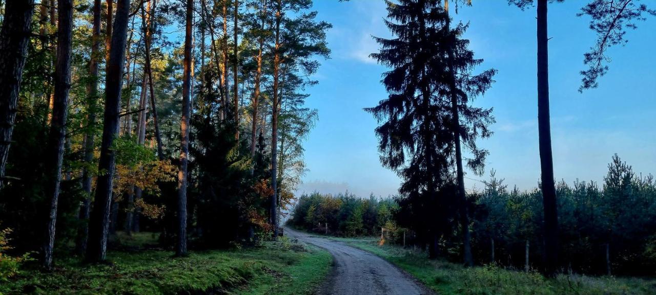 Domek Triftberg Chojna Exteriör bild