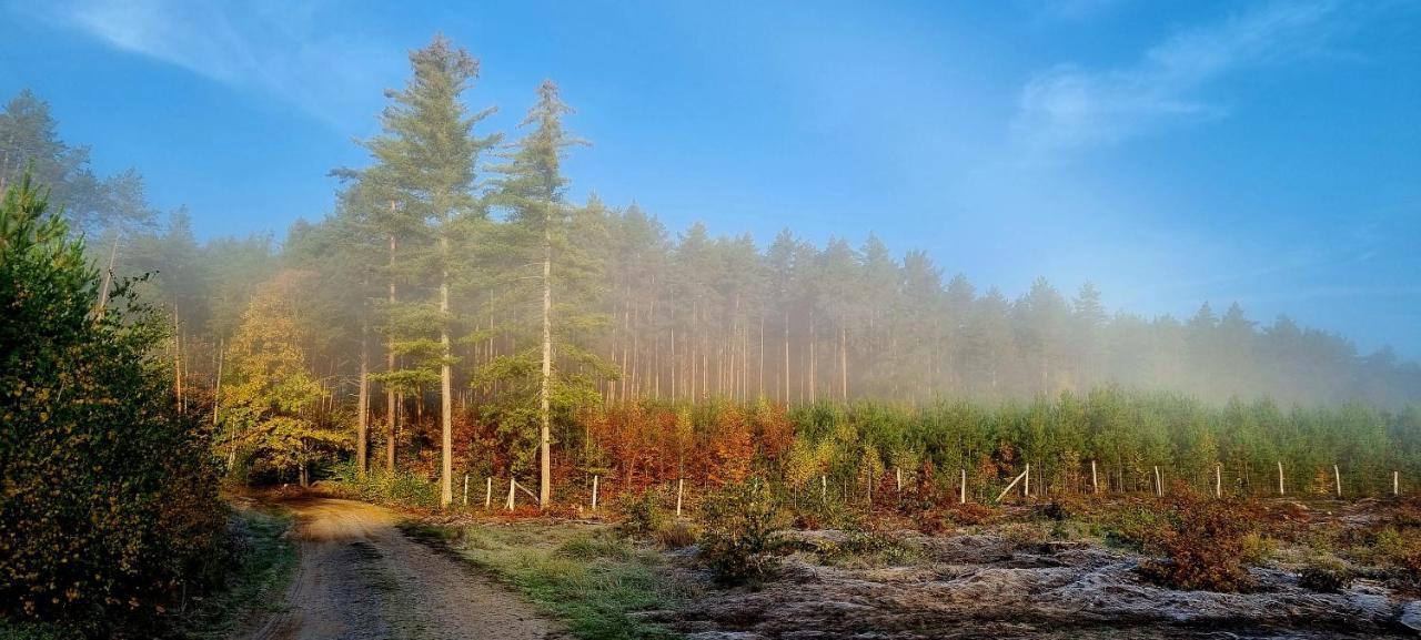 Domek Triftberg Chojna Exteriör bild