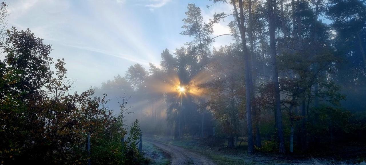 Domek Triftberg Chojna Exteriör bild