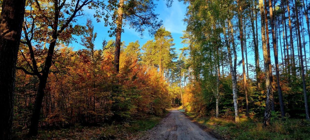 Domek Triftberg Chojna Exteriör bild